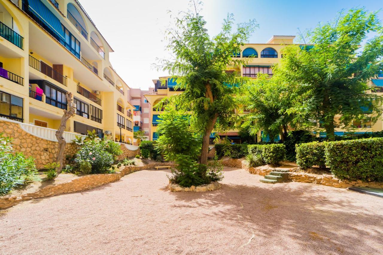 Apartamento Alegria Id36 La Mata  Buitenkant foto