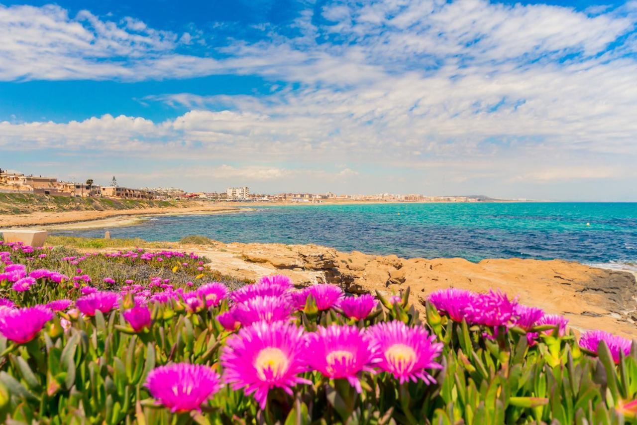 Apartamento Alegria Id36 La Mata  Buitenkant foto